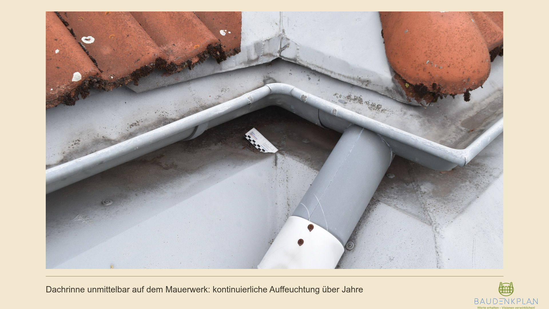 Dachrinne unmittelbar auf dem Mauerwerk eines Drempeldachs, dadurch kontinuierliche Auffeuchtung des Wandauflagers über Jahre