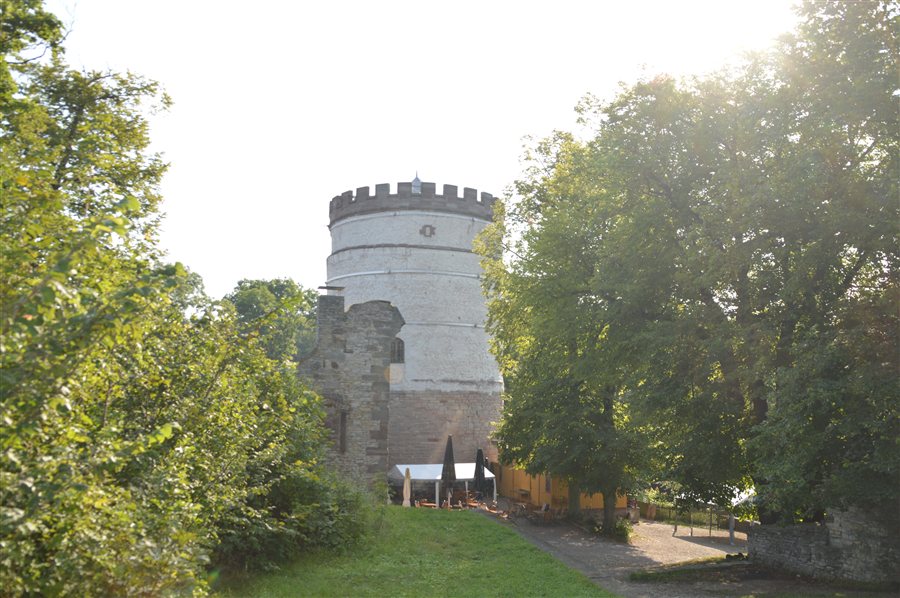 Burg Plesse, Bovenden