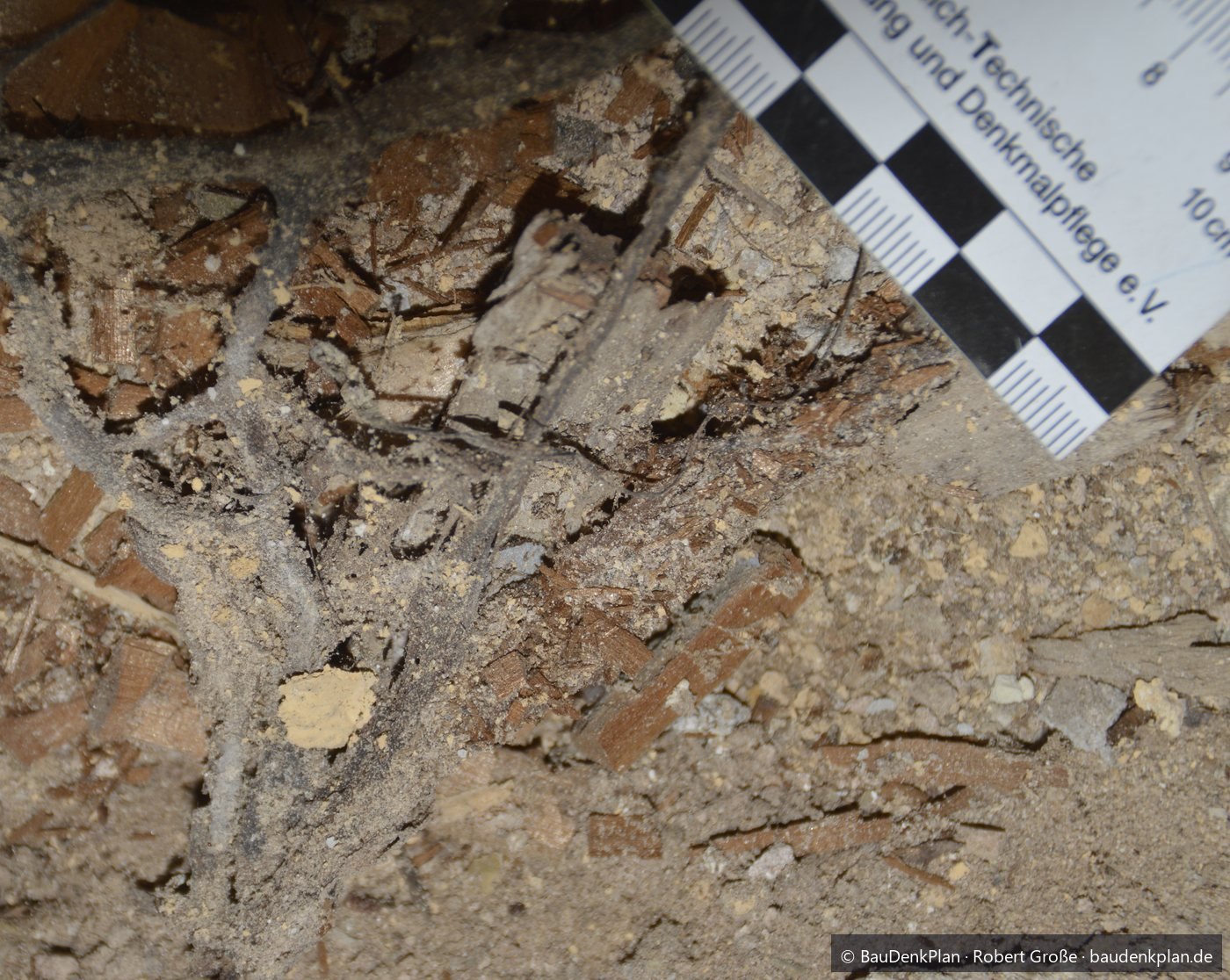 F&auml;cherartig ausgebreitete graue Str&auml;nge des Wilden Hausschwamms &uuml;ber Sch&uuml;ttung und Holzresten